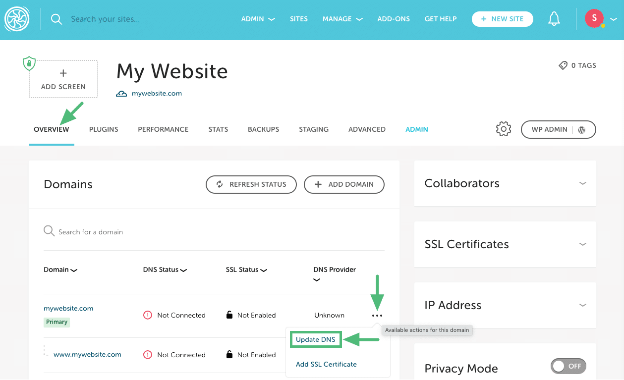 View DNS records from three-dot menu