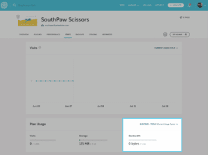 Stats tab bandwidth usage